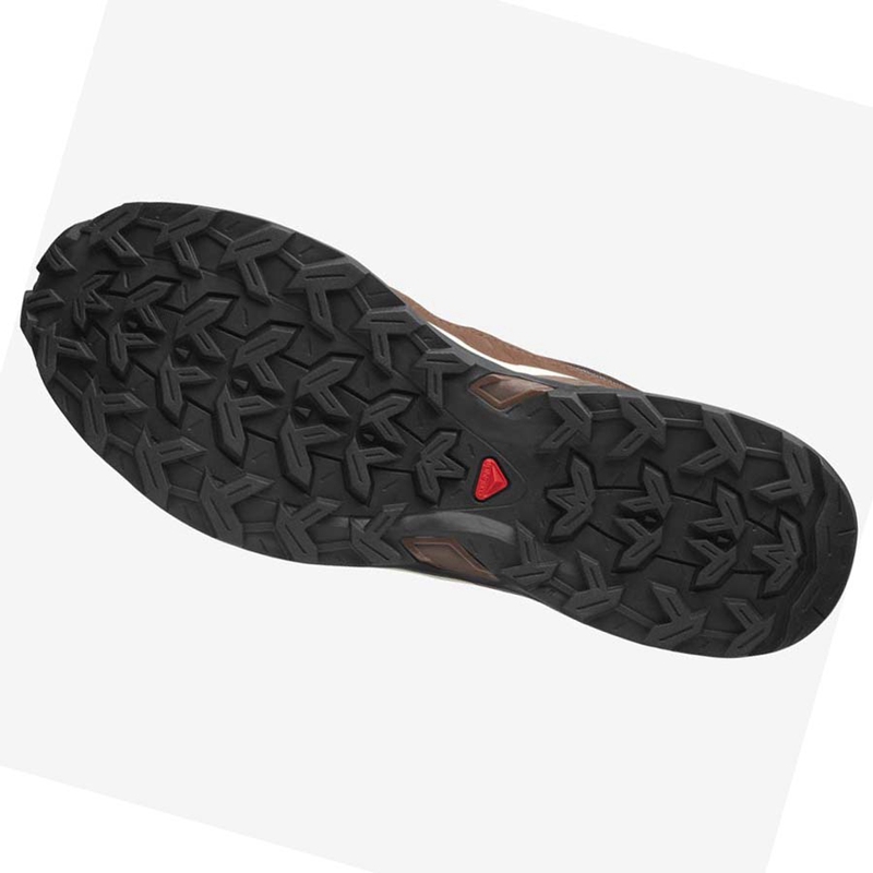 Baskets Salomon SHELTER LOW LEATHER Homme Kaki | WBQOLCY-13