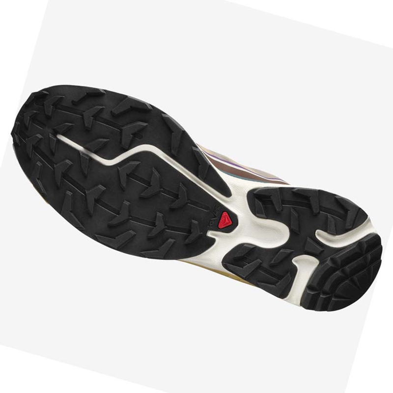 Baskets Salomon XT-6 FT Homme Violette Chocolat | QNWSXUZ-20