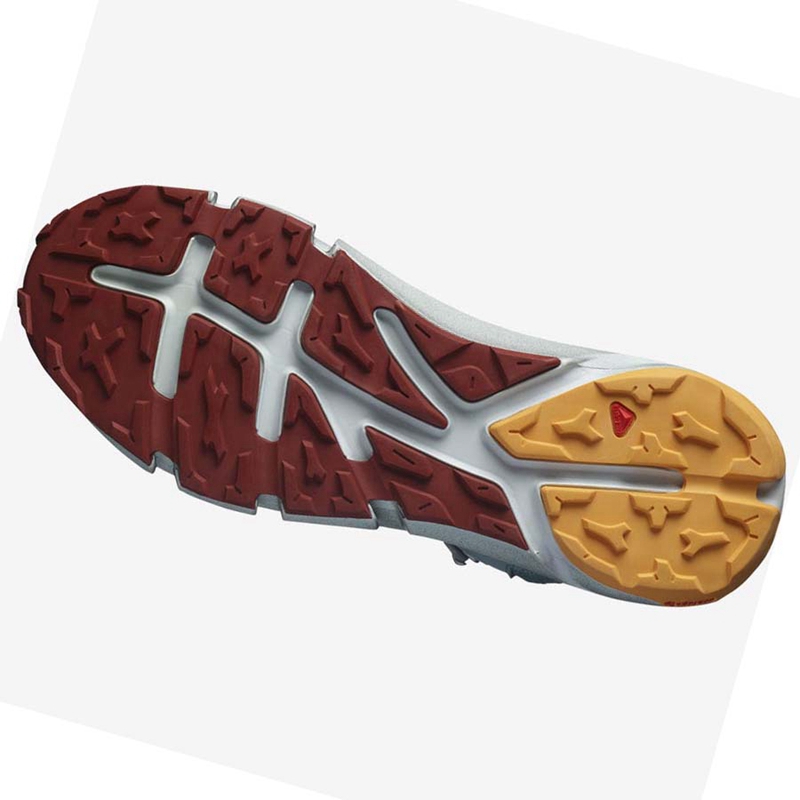 Chaussures Randonnée Salomon PREDICT HIKE MID GORE-TEX Homme Turquoise | RGPDWSN-97