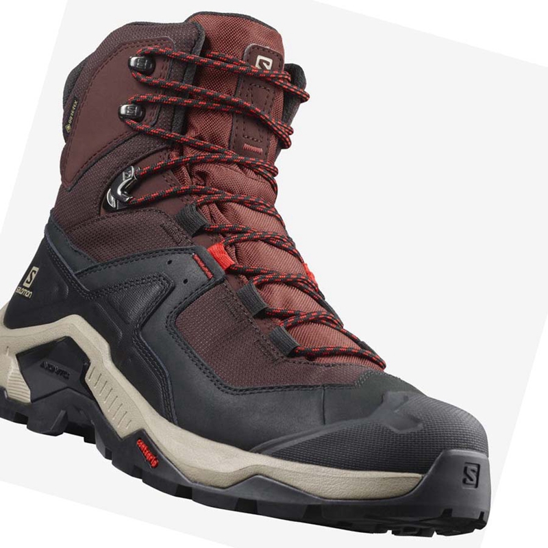 Chaussures Randonnée Salomon QUEST ELEMENT GORE-TEX Homme Grise Rouge | EULINQP-01