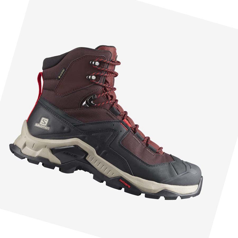 Chaussures Randonnée Salomon QUEST ELEMENT GORE-TEX Homme Grise Rouge | EULINQP-01