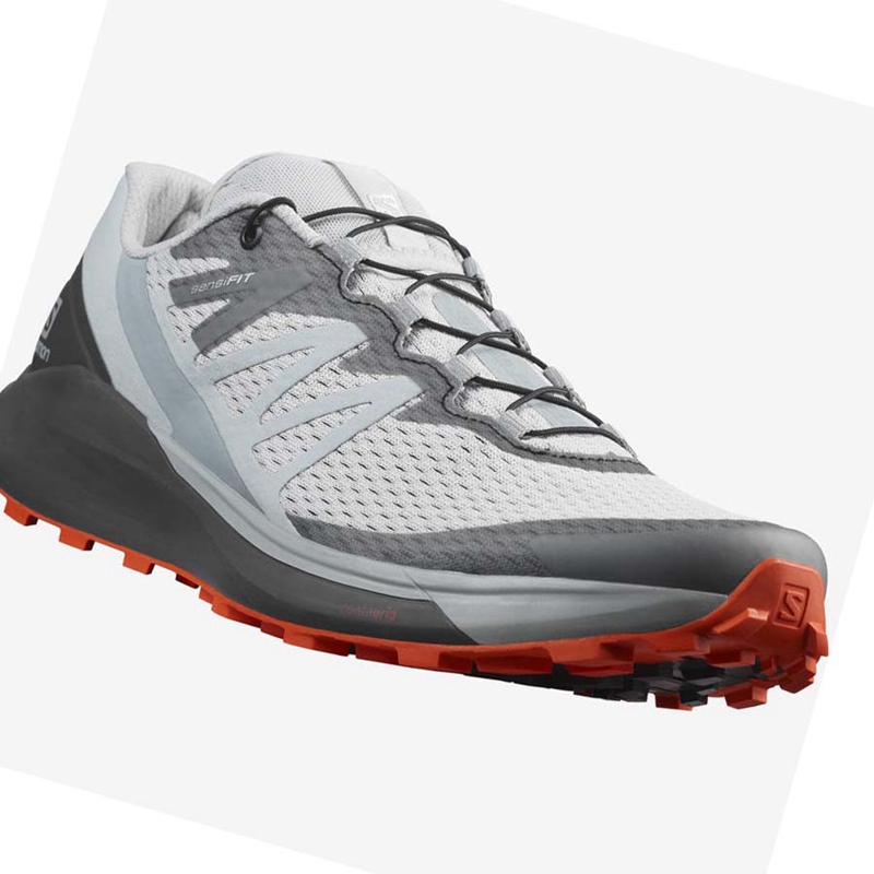 Chaussures Trail Running Salomon SENSE RIDE 4 Homme Beige Grise | HZGAWBD-67
