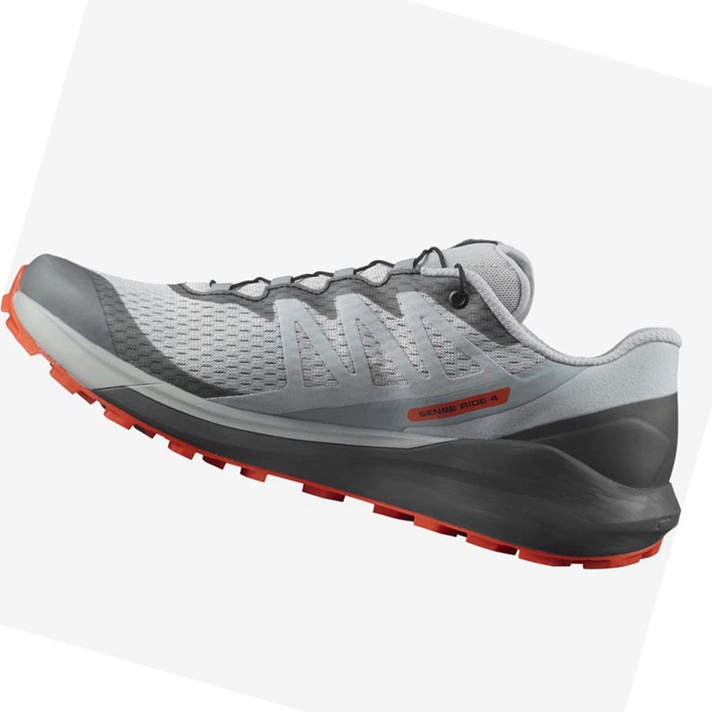 Chaussures Trail Running Salomon SENSE RIDE 4 Homme Beige Grise | HZGAWBD-67