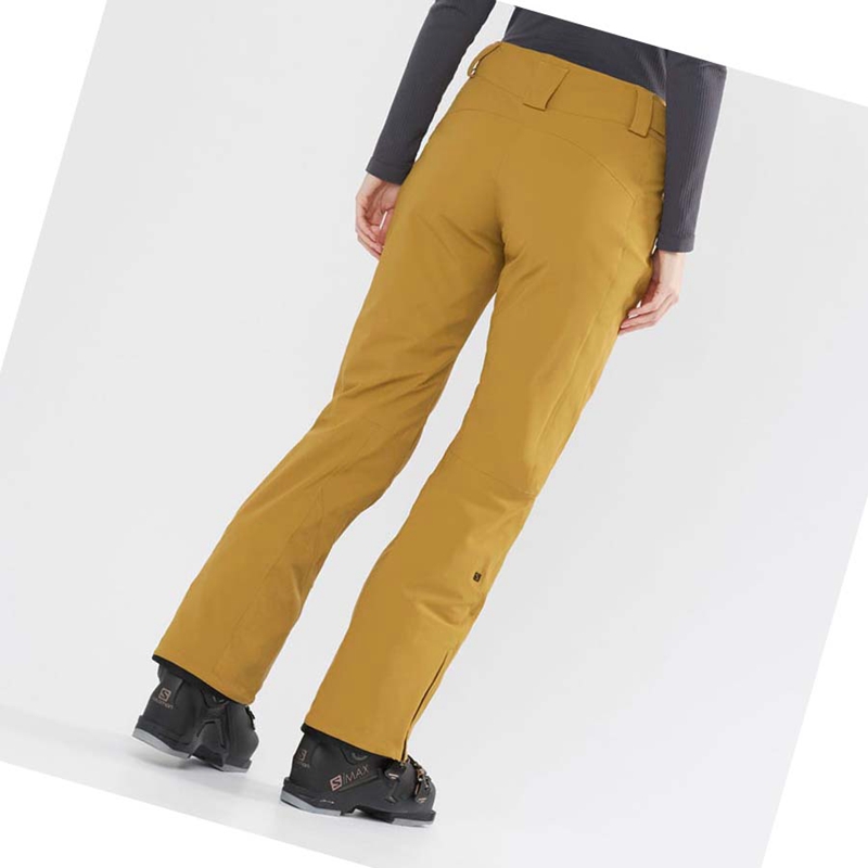 Pantalons De Ski Salomon THE BRILLIANT Femme Marron | ITKPYVE-41